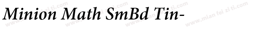 Minion Math SmBd Tin字体转换
